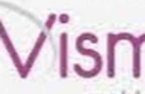 Vismeb